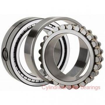 360 mm x 600 mm x 192 mm  SKF C3172M cylindrical roller bearings
