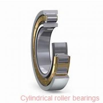 75 mm x 130 mm x 25 mm  ISO NUP215 cylindrical roller bearings