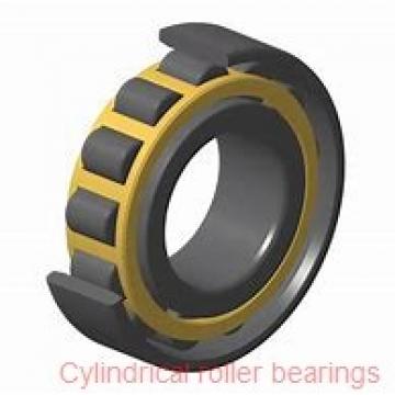 45 mm x 75 mm x 40 mm  NACHI E5009NR cylindrical roller bearings