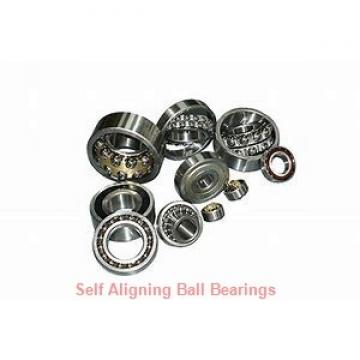 AST 1200 self aligning ball bearings